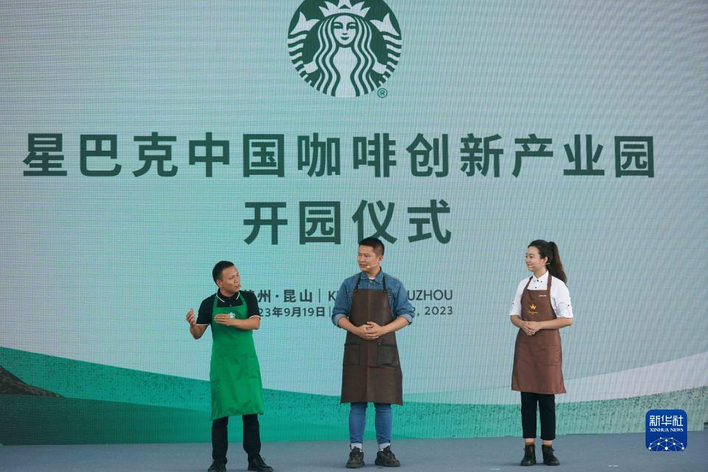 df888经典版登录
